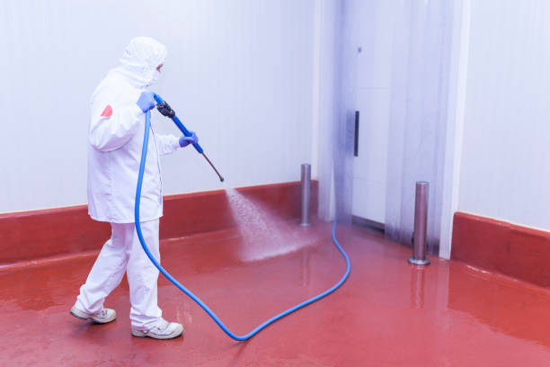 Best Driveway Pressure Washing  in San Martin, CA